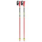 Leki Alpino Racing Poles