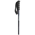 Nordica Alpine Ti Poles Woman