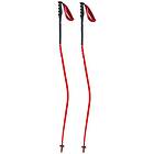 Swix World Cup Pro Donwhill Poles