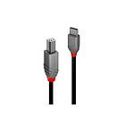 Lindy 36941 USB-kabel 1 m USB 2.0 USB C USB B Sort