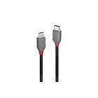 Lindy 36893 USB-kabel 3 m USB 2.0 USB C Micro-USB B Sort