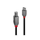 Lindy 36942 USB-kabel 2 m USB 2.0 USB C USB B Sort