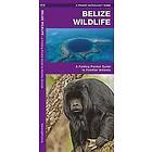 James Kavanagh, Waterford Press: Belize Wildlife