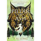 The Four Pillars Pillar of Ash