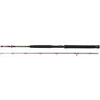 Daiwa SEAHUNTER SPIN 6' 2pc 80-200g