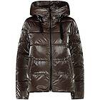 CMP 31k2856 Jacket dam