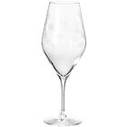 Frederik Bagger Flower Champagne Glass 2-pack, 35 cl