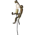 Qazqa Monkey