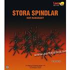 Stora spindlar, 12st