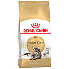 Royal Canin Adult Breed Maine Coon 31 2x10kg