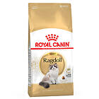 Royal Canin Adult Breed Ragdoll 2x10kg