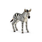 Schleich Wild Life Zebra Foil 14811