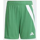 Adidas Fortore 23 Shorts Grönt 15-16 Years Pojke