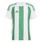 Adidas Striped 24 Short Sleeve T-shirt Grönt 15-16 Years Pojke