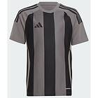 Adidas Striped 24 Short Sleeve T-shirt Grå 11-12 Years Pojke