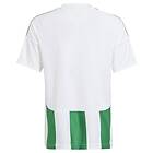 Adidas Striped 24 Short Sleeve T-shirt Grönt 5-6 Years Pojke