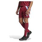Adidas Fortore 23 Shorts Röd 7-8 Years Pojke