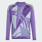 Adidas Tiro24 Long Sleeve Goalkeeper T-shirt Lila 5-6 Years Pojke