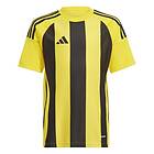 Adidas Striped 24 Short Sleeve T-shirt Gul 15-16 Years Pojke