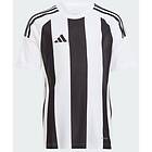 Adidas Striped 24 Short Sleeve T-shirt Vit 15-16 Years Pojke