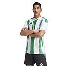Adidas Striped 24 Short Sleeve T-shirt Grönt 13-14 Years Pojke