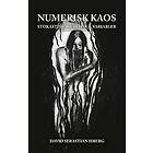 David Sebastian Isberg: Numerisk kaos stokastika svärtor och variabler
