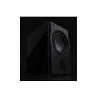 Perlisten Audio R212s aktiv subwoofer