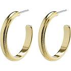 Pilgrim 14221-2003 THANKFUL Medium Hoop Earrings 1 set