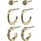 Pilgrim 90233-2003 WINNY Giftset Hoops & Earstuds 1 set