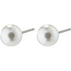 Pilgrim 60231-6013 ESMARALDA Pearl Earrings 1 set