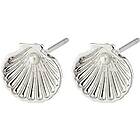 Pilgrim 26241-6013 OPAL Seashell Earrings 1 set