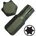 Bato Auto Bits kort. Torx 45.