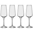 Orrefors Pulse Champagneglass 28 cl, 4-pack