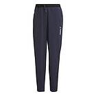 Adidas Terrex Liteflex Pants dam