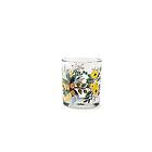 Excelsa Blommor Frida Set 3 Glas