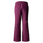 The North Face Dawnstrike GTX Insulated Pant dam