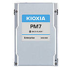 Kioxia X131 PM7-R eSDD 3,8TB