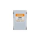 Kioxia X134 CD8-V dSDD 12,8TB