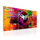 Arkiio Tavla Jungle Of Colours of 60x30 A3-N5698