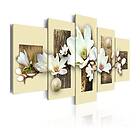 Arkiio Tavla Texture And Magnolia and magnolia 100x50 A3-N2150