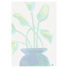 Pelcasa Poster Flowers Mint 30x40 cm 2069352-2