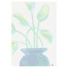 Pelcasa Poster Flowers Mint 50x70 cm 2069352-3