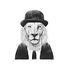 Pelcasa Poster Sir Lion 21x30 cm 2431424-1