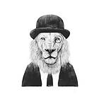 Pelcasa Poster Sir Lion 70x100 cm 2431424-4