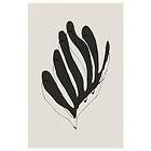 Pelcasa Poster Modern Flower 50x70 cm 2260754-3