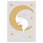 Pelcasa Poster The Rabbit 50x70 cm 2012071-3