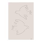 Pelcasa Poster Two Doves 30x40 cm 2057694-2