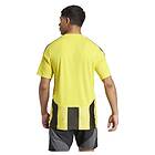 Adidas Striped 24 Short Sleeve T-shirt Gul L Man