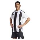 Adidas Striped 24 Short Sleeve T-shirt Vit XL Man