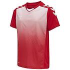 Hummel Core Xk Sublimation Short Sleeve T-shirt Röd 8 Years Pojke